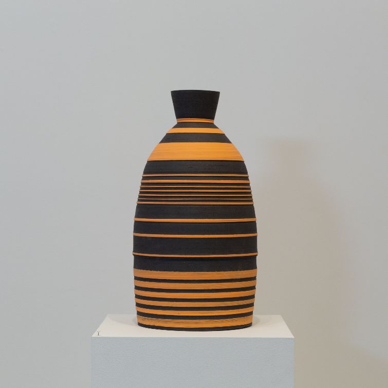 Shane Lutzk, Ceramic Artist